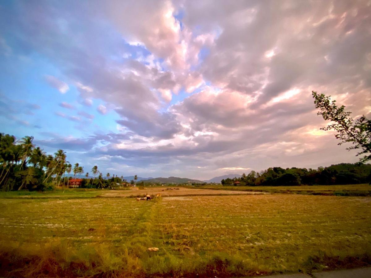 The Paddy Field - Private Pool Pantai Cenang (Langkawi)